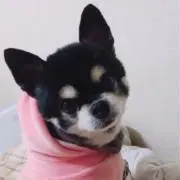 みーにゃ☆