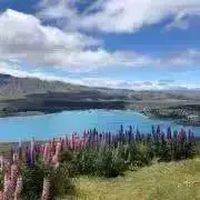 美海の画像