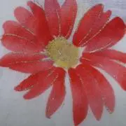 ami-の画像
