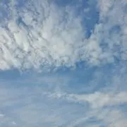 ツナマヨの画像