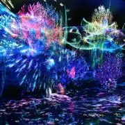 まーの画像