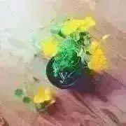 ysk
