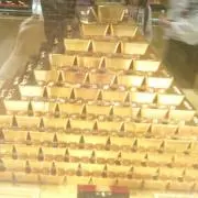 ありの画像
