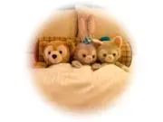 うづらの画像