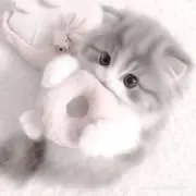 ☆の画像