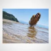 さの画像