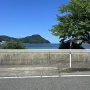 フッ素の画像