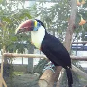 risaの画像