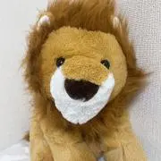 たぬきの画像