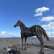 カン