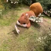 ずーなの画像