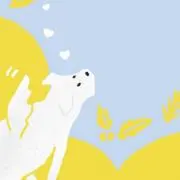 akiの画像