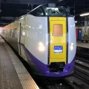 たくの画像