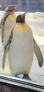 TSの画像