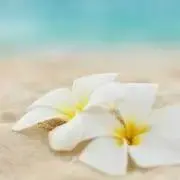 さぁの画像