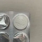 シダの画像