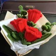 Haneliaの画像