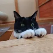 ママ鉄