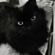 じうの画像
