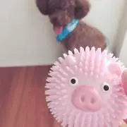 miiの画像