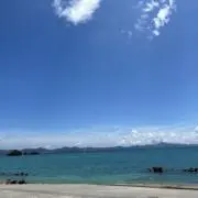KO...の画像