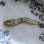 煮干しの画像