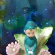 オカタム