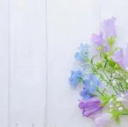naaの画像