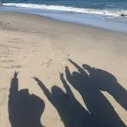 シェルティ