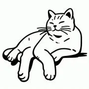 kapitanの画像