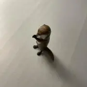 コツメ