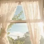 あの画像