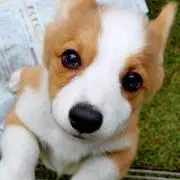 baby_ritoの画像