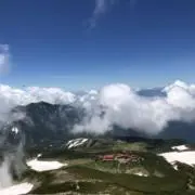 ニカの画像