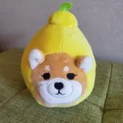 こてつの画像