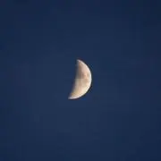 Moon Rabbitの画像
