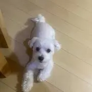 天