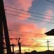 猫好きの画像