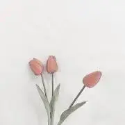 mumimeの画像