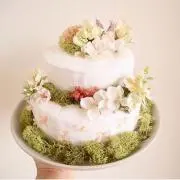 よっしーの画像