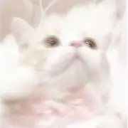 ❤︎︎ ナオ [購入者様プロフ必読]