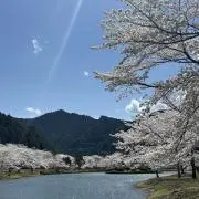 まるいち　24h以内発送してますの画像
