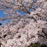 JINの画像