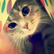 まこと