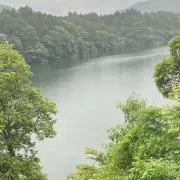 クローバー