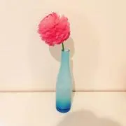 ひまりの画像