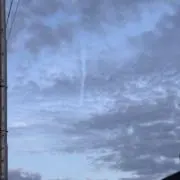 まの画像