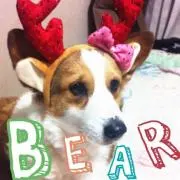 やまちゃん