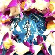 Honoluaの画像