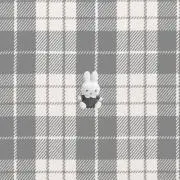 わたなべの画像